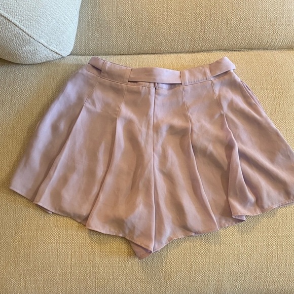 Aritzia pleated shorts - Picture 2 of 4